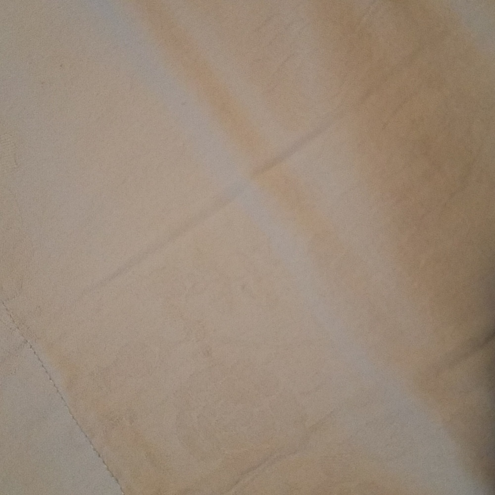 Two standard pillow shams.  100%cotton 20x26.